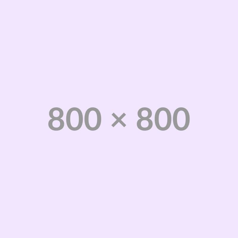 Alpha Model for Testing – Sample Product 10